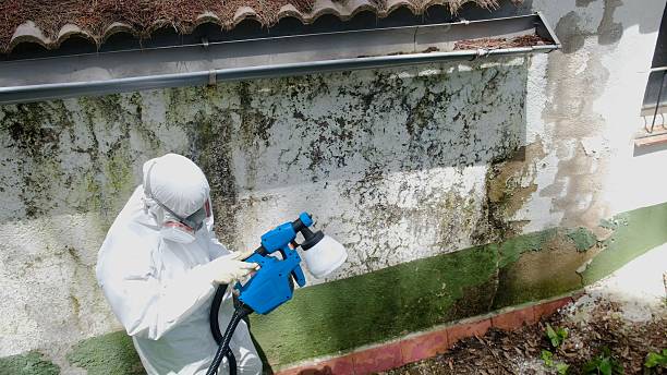 Top rated local Mold Remediation specialists in Mount Holly Springs, PA